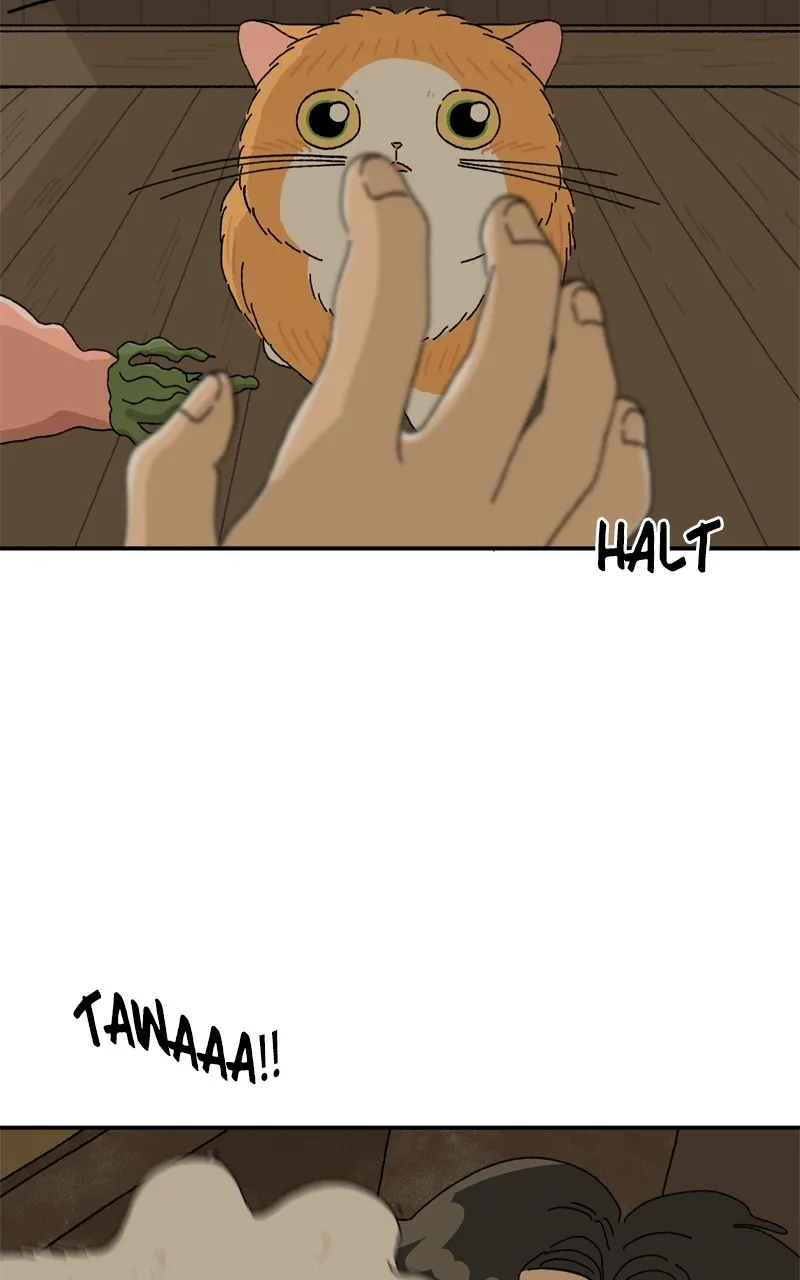 Tata the Cat Chapter 12 page 37 - 