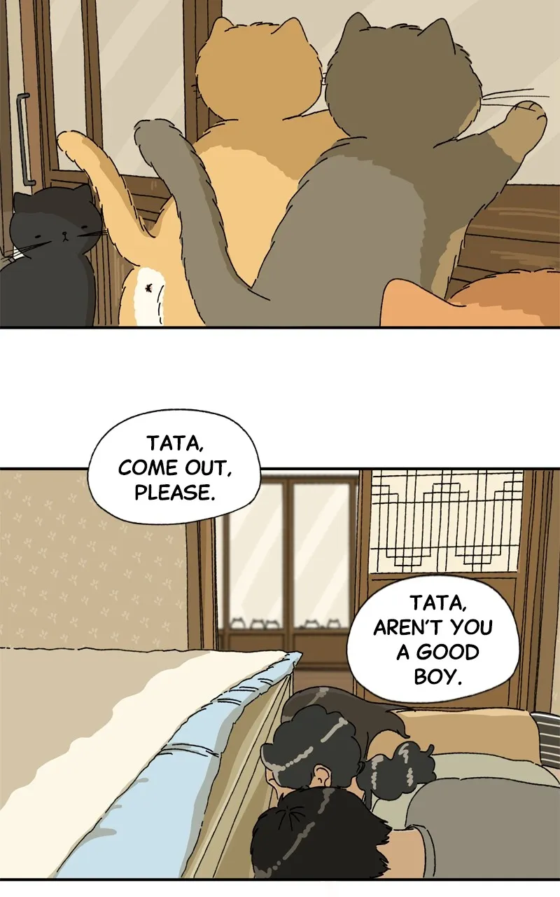 Tata the Cat Chapter 12 page 40 - 