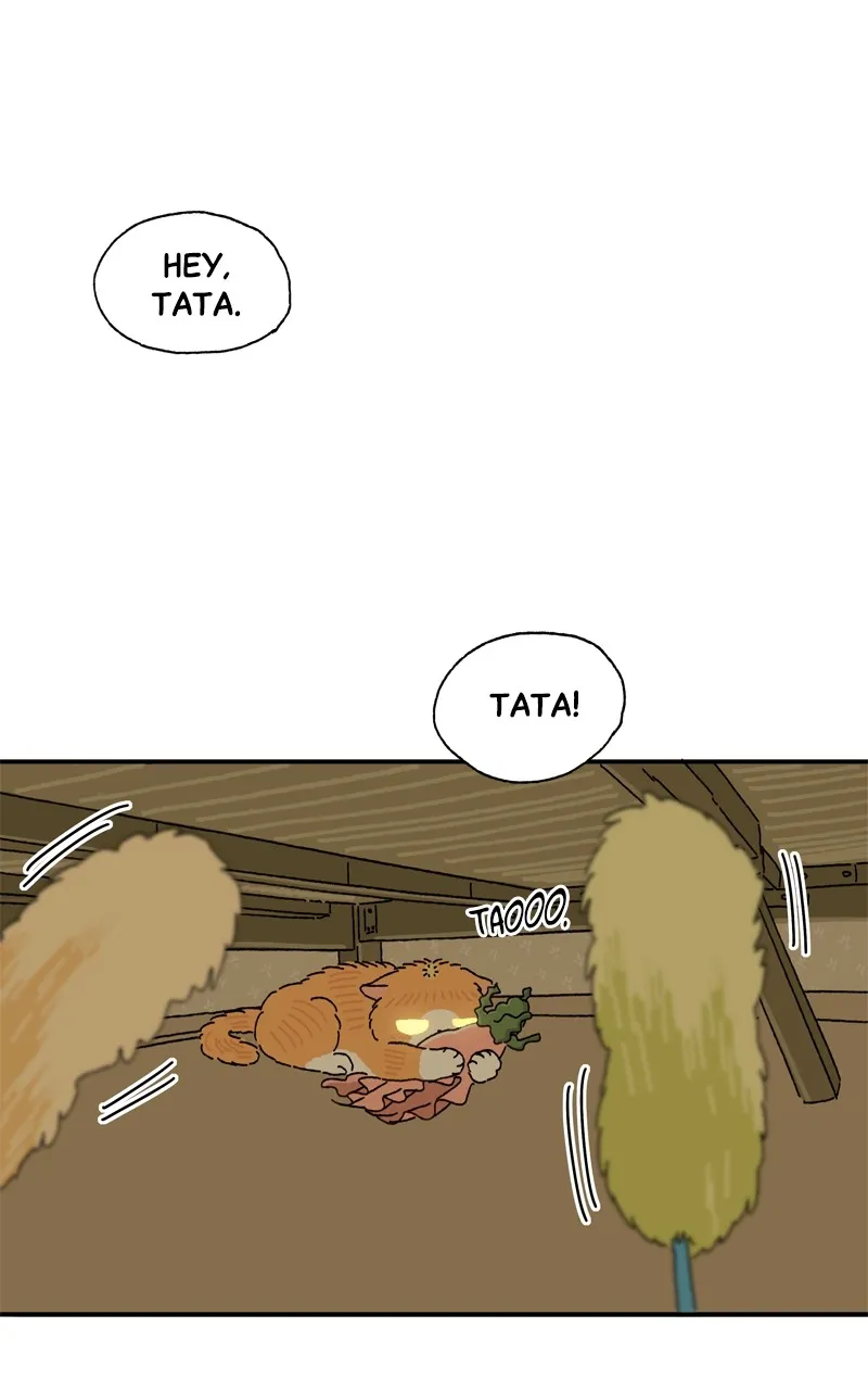 Tata the Cat Chapter 12 page 46 - 