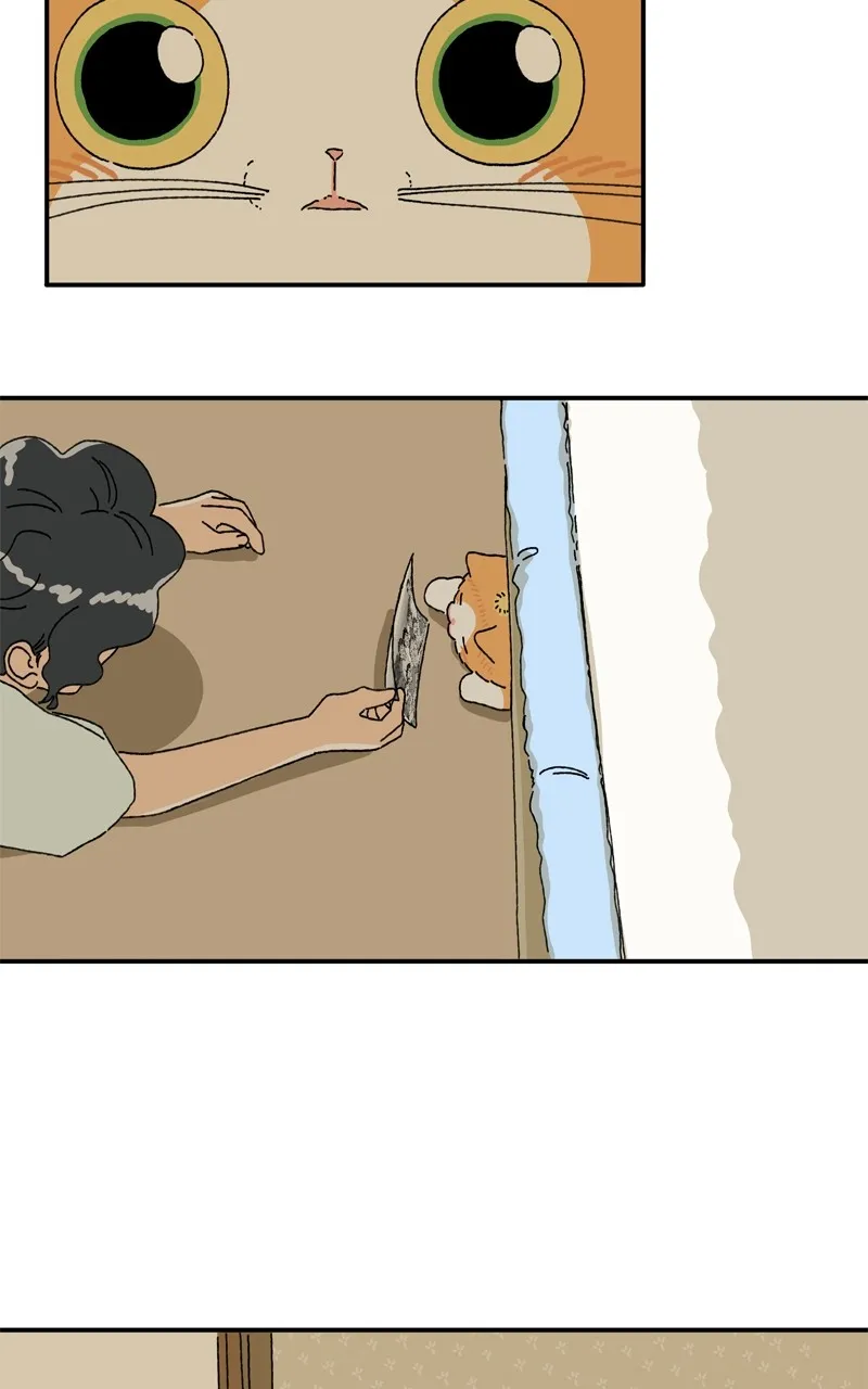 Tata the Cat Chapter 12 page 52 - 