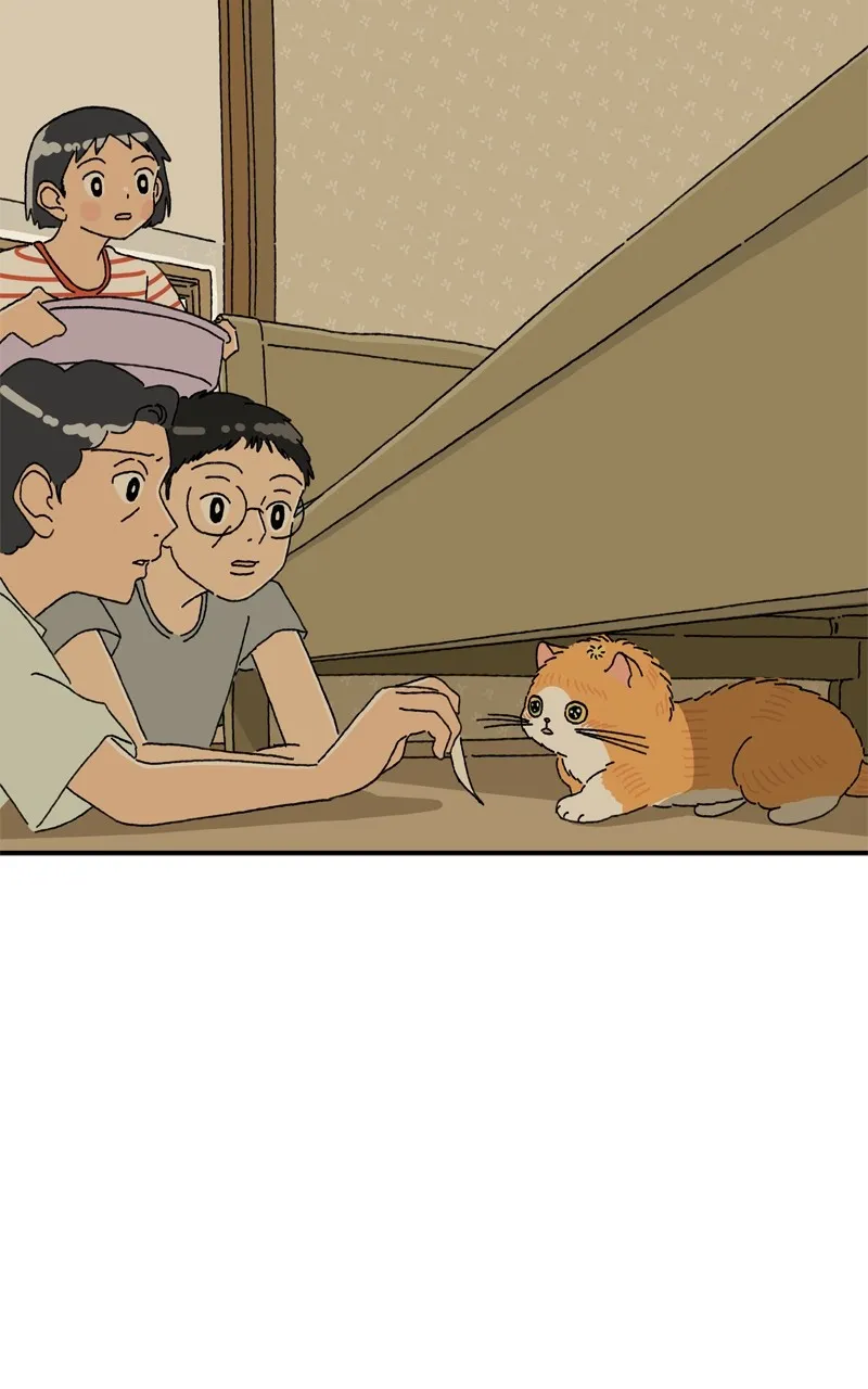 Tata the Cat Chapter 12 page 53 - 