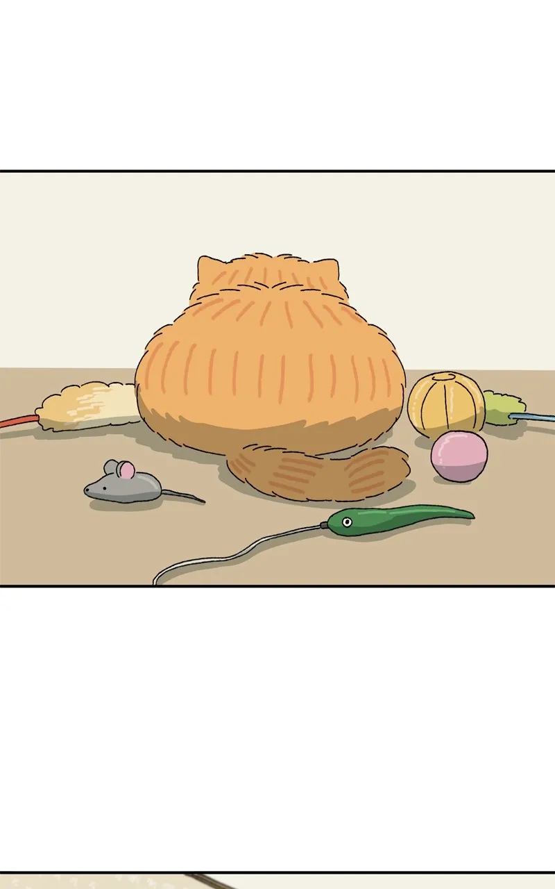 Tata the Cat Chapter 12 page 56 - 