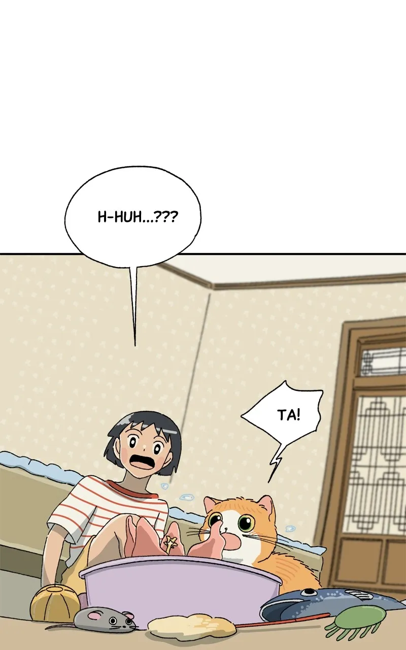 Tata the Cat Chapter 12 page 70 - 