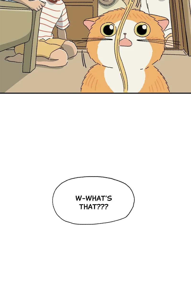 Tata the Cat Chapter 12 page 72 - 