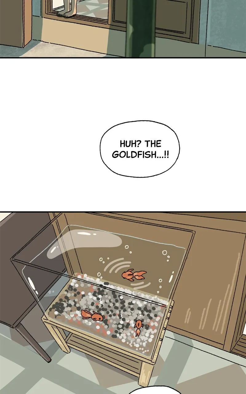 Tata the Cat Chapter 13 page 13 - 