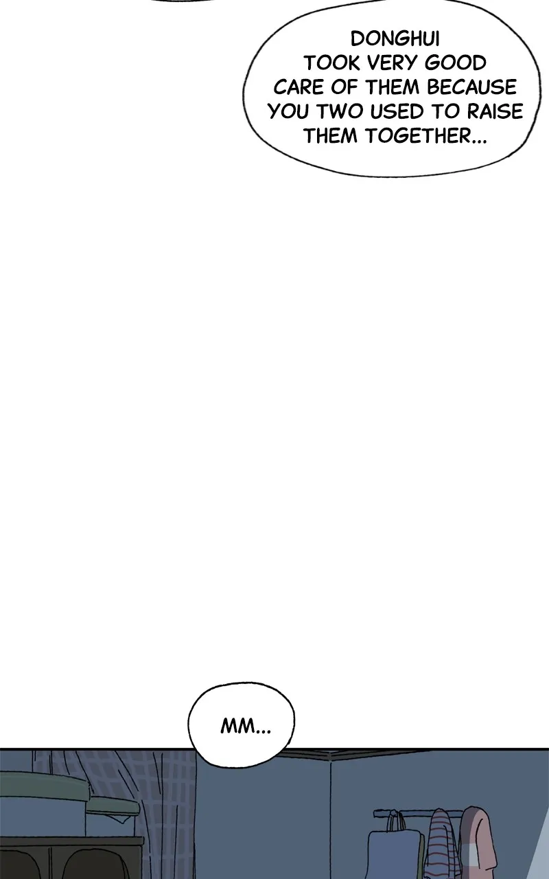 Tata the Cat Chapter 13 page 15 - 