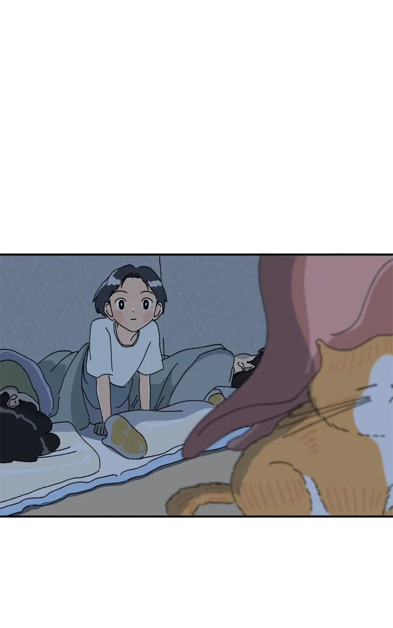 Tata the Cat Chapter 13 page 37 - 