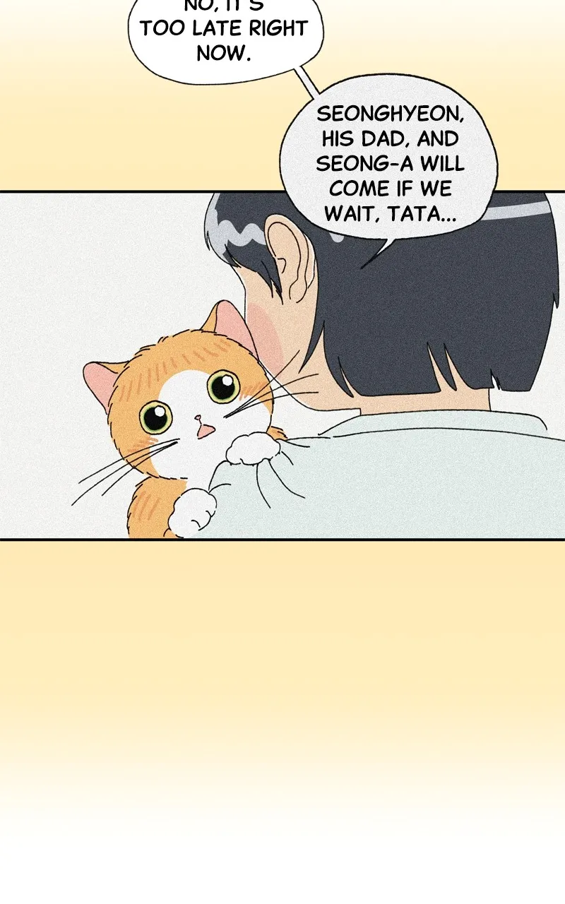 Tata the Cat Chapter 13 page 39 - 