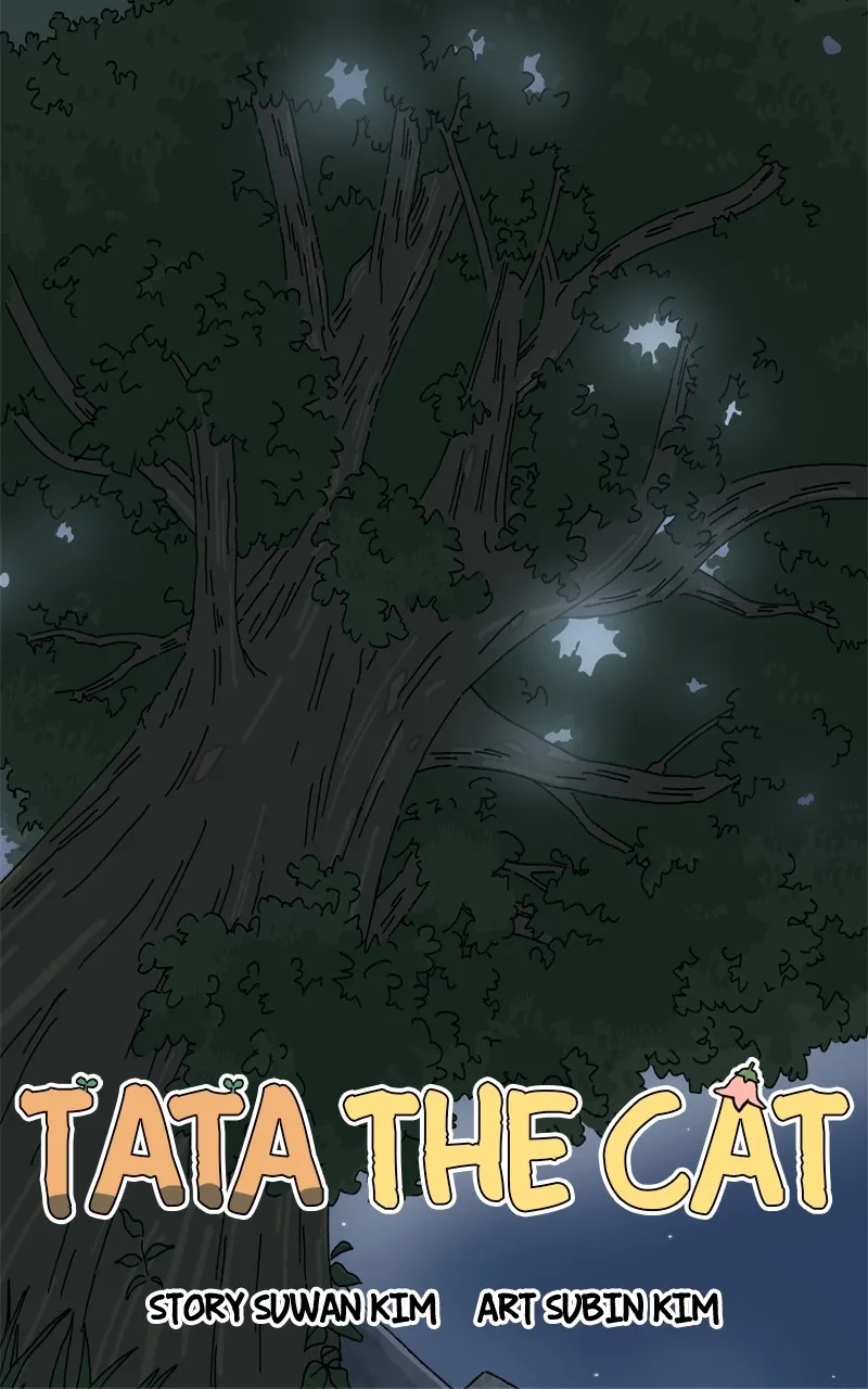 Tata the Cat Chapter 13 page 51 - 