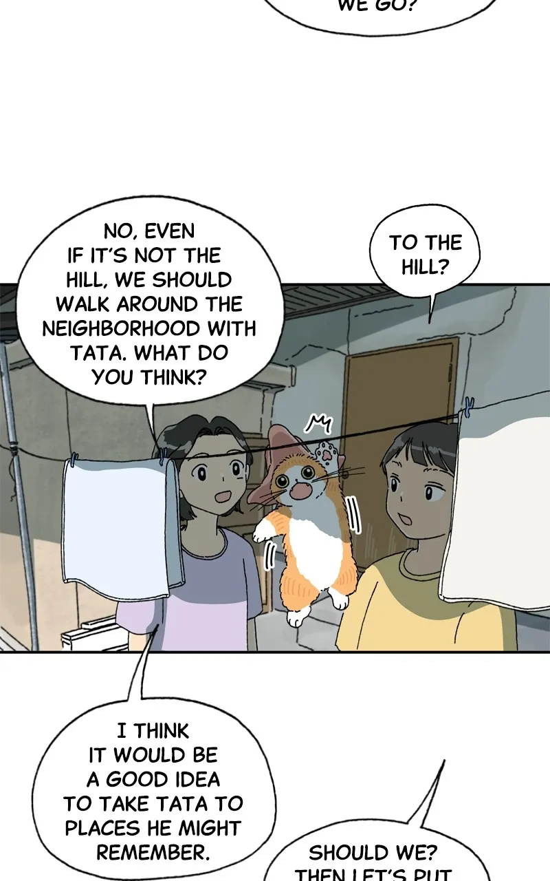 Tata the Cat Chapter 13 page 56 - 