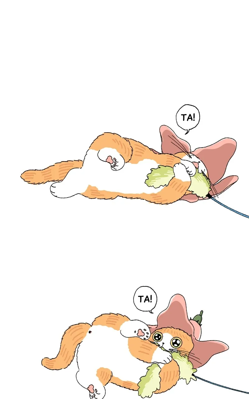 Tata the Cat Chapter 14 page 1 - 