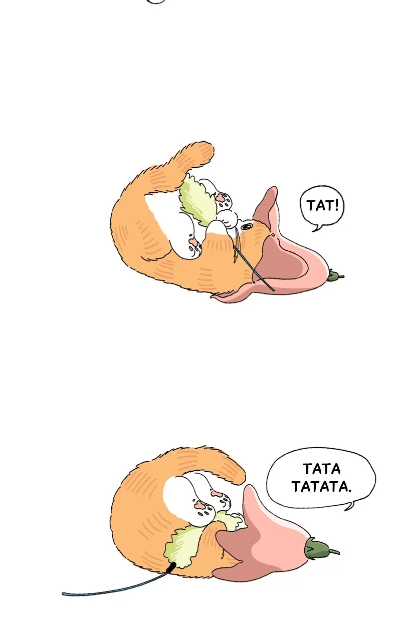 Tata the Cat Chapter 14 page 2 - 