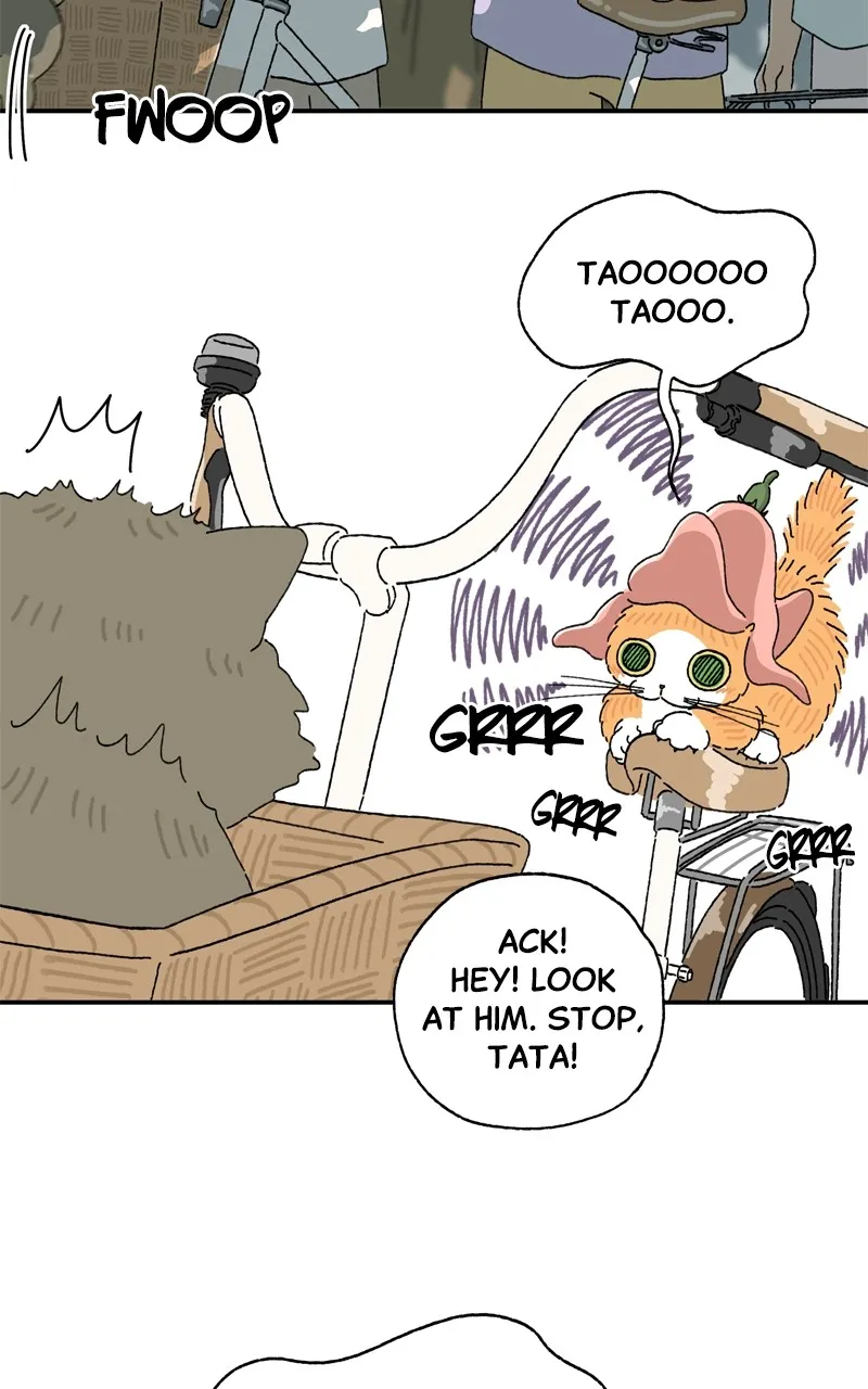 Tata the Cat Chapter 14 page 12 - 
