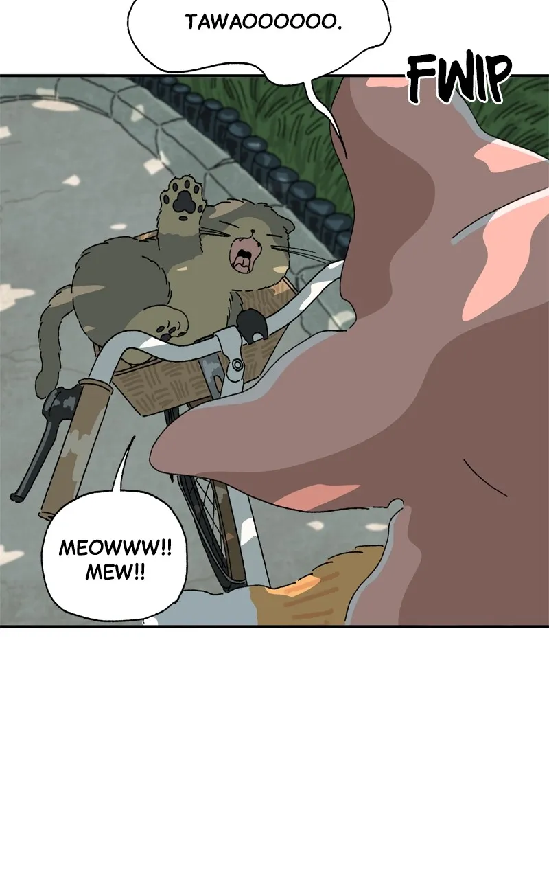 Tata the Cat Chapter 14 page 13 - 