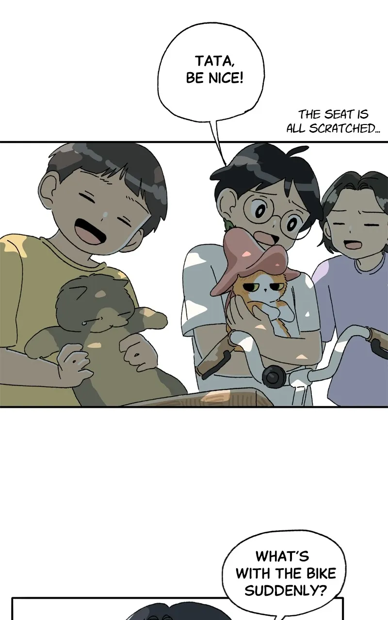 Tata the Cat Chapter 14 page 14 - 