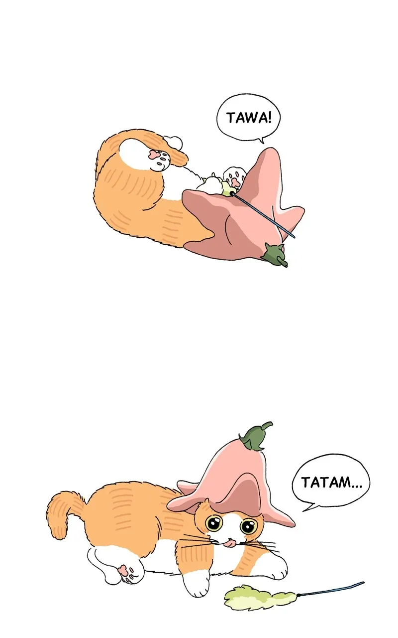 Tata the Cat Chapter 14 page 3 - 
