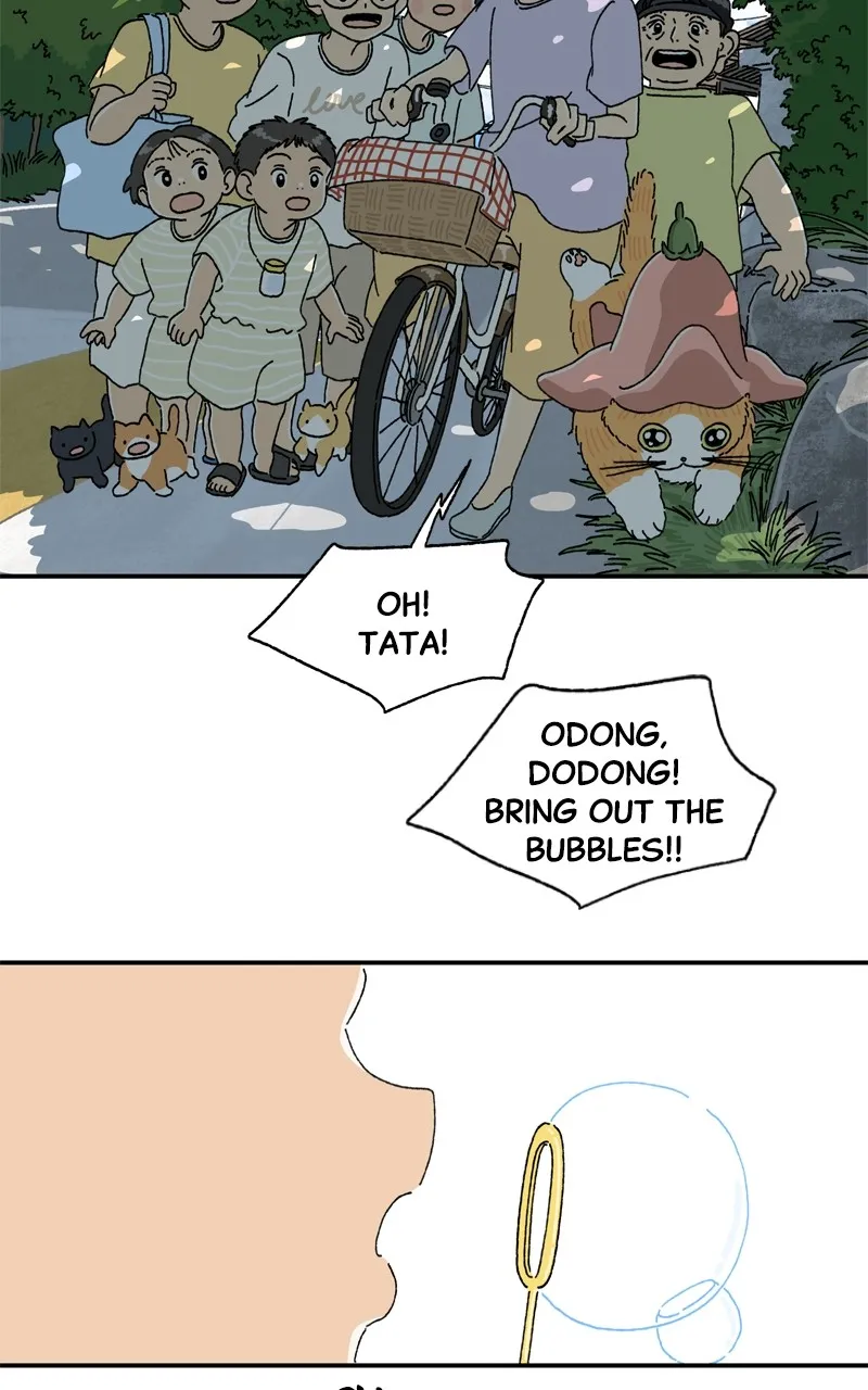 Tata the Cat Chapter 14 page 31 - 