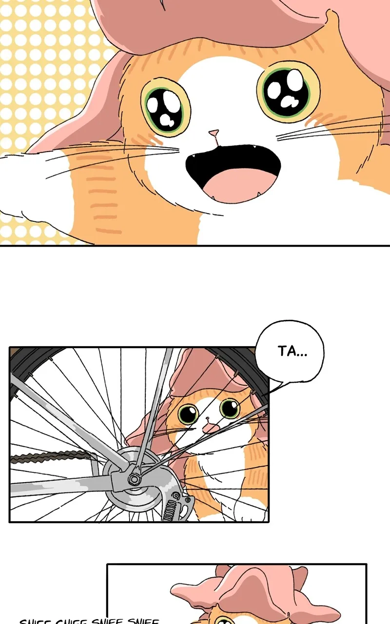 Tata the Cat Chapter 14 page 9 - 