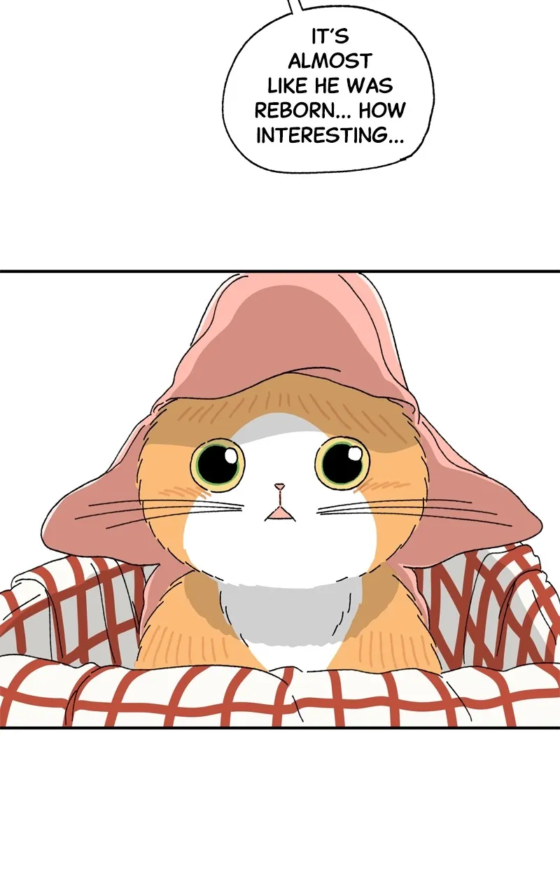Tata the Cat Chapter 15 page 61 - 
