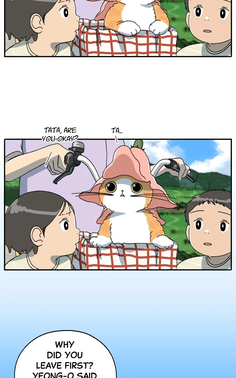 Tata the Cat Chapter 16 page 2 - 