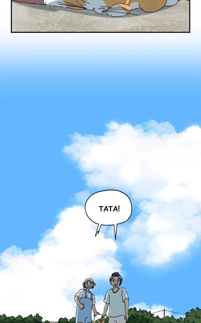 Tata the Cat Chapter 16 page 15 - 