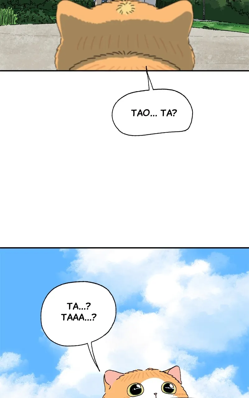 Tata the Cat Chapter 16 page 16 - 