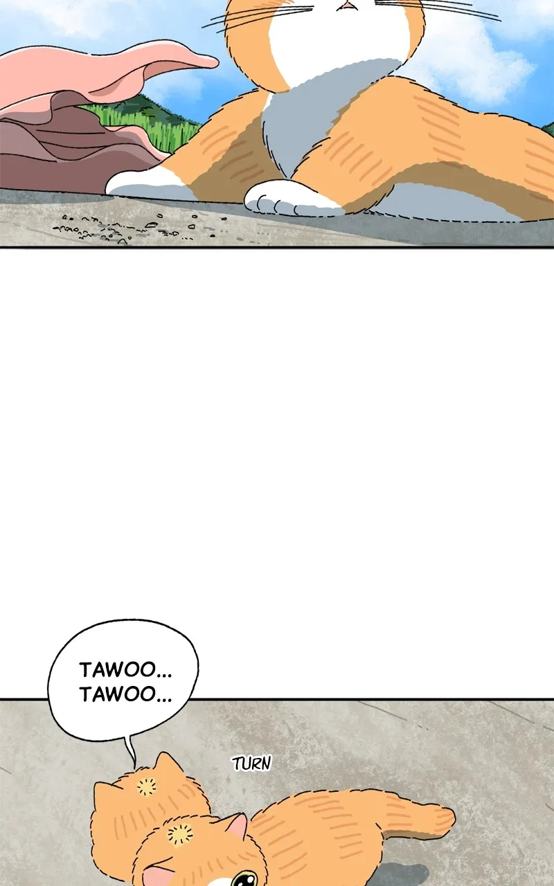 Tata the Cat Chapter 16 page 17 - 
