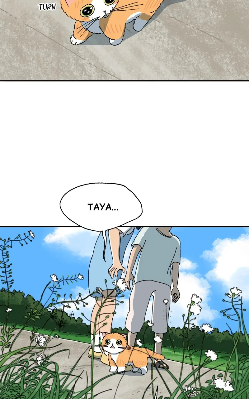 Tata the Cat Chapter 16 page 18 - 