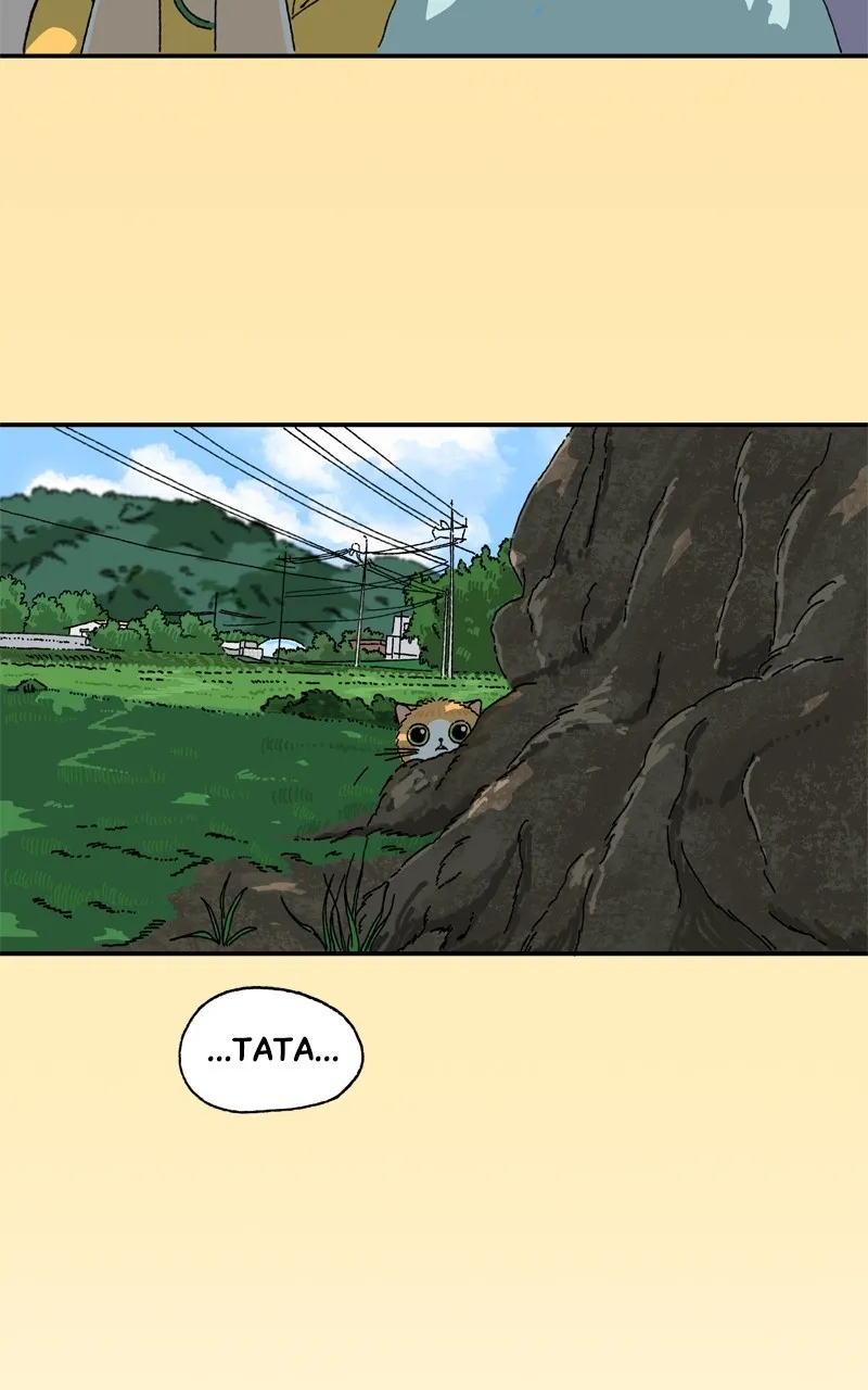 Tata the Cat Chapter 16 page 26 - 