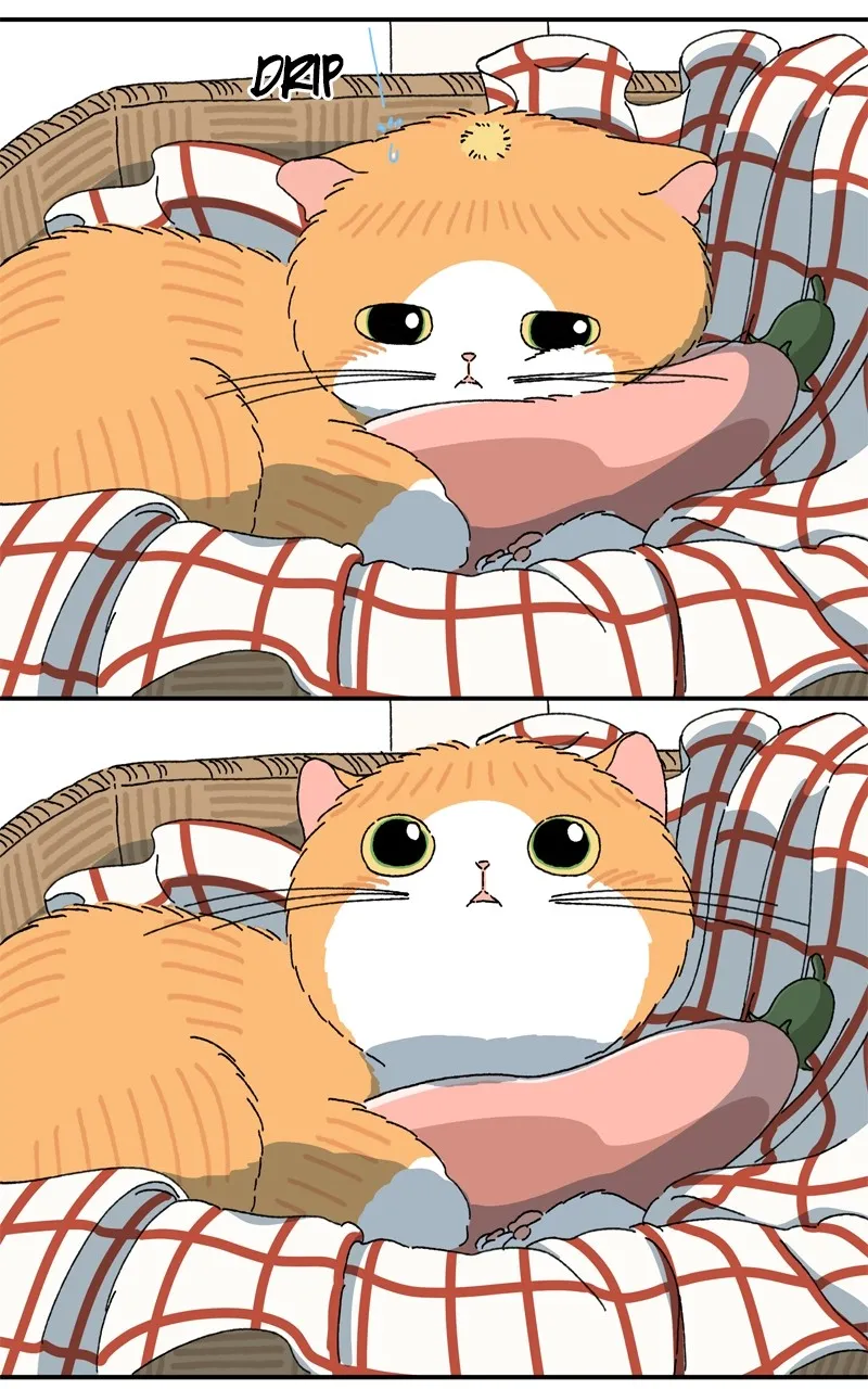 Tata the Cat Chapter 16 page 33 - 