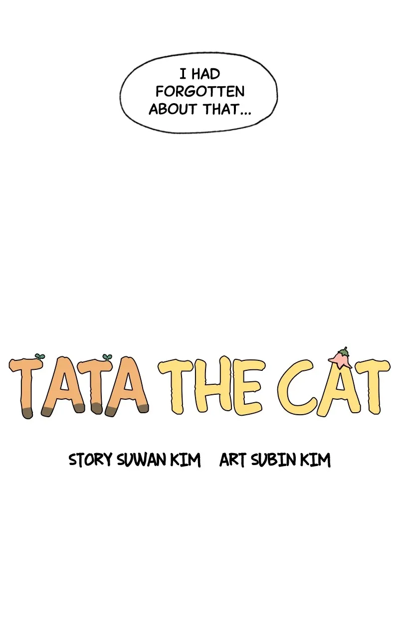 Tata the Cat Chapter 16 page 45 - 
