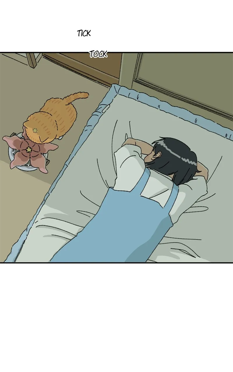 Tata the Cat Chapter 16 page 46 - 