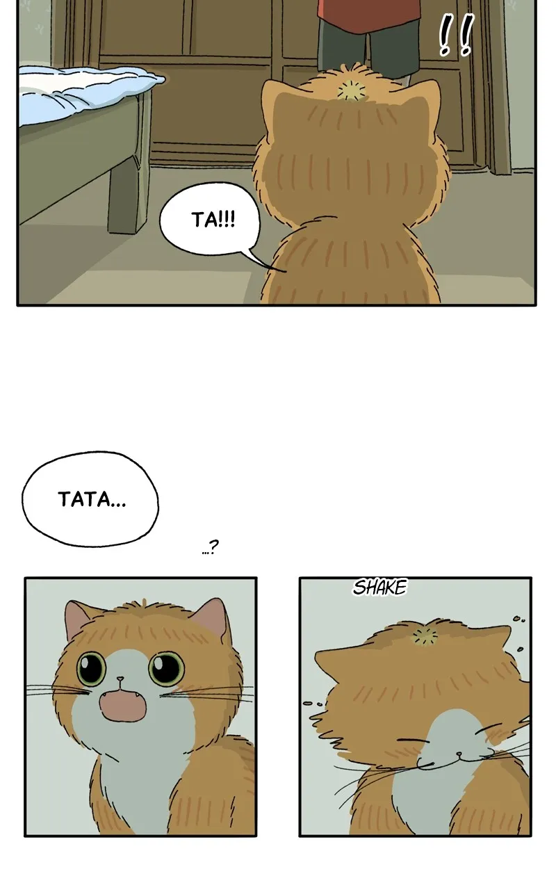 Tata the Cat Chapter 16 page 66 - 