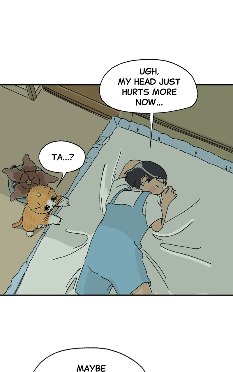 Tata the Cat Chapter 16 page 68 - 