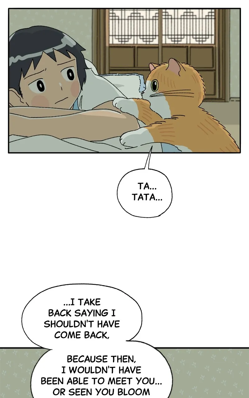 Tata the Cat Chapter 16 page 70 - 