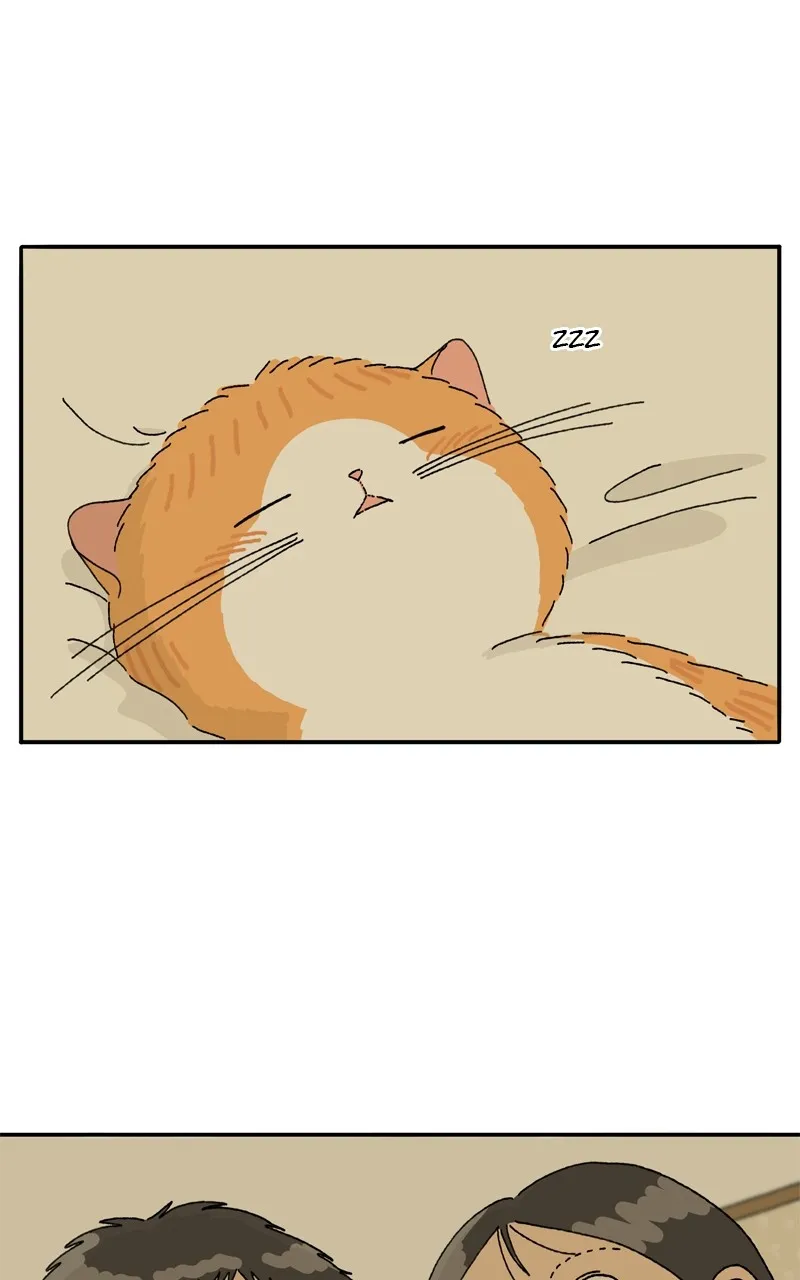 Tata the Cat Chapter 17 page 1 - 