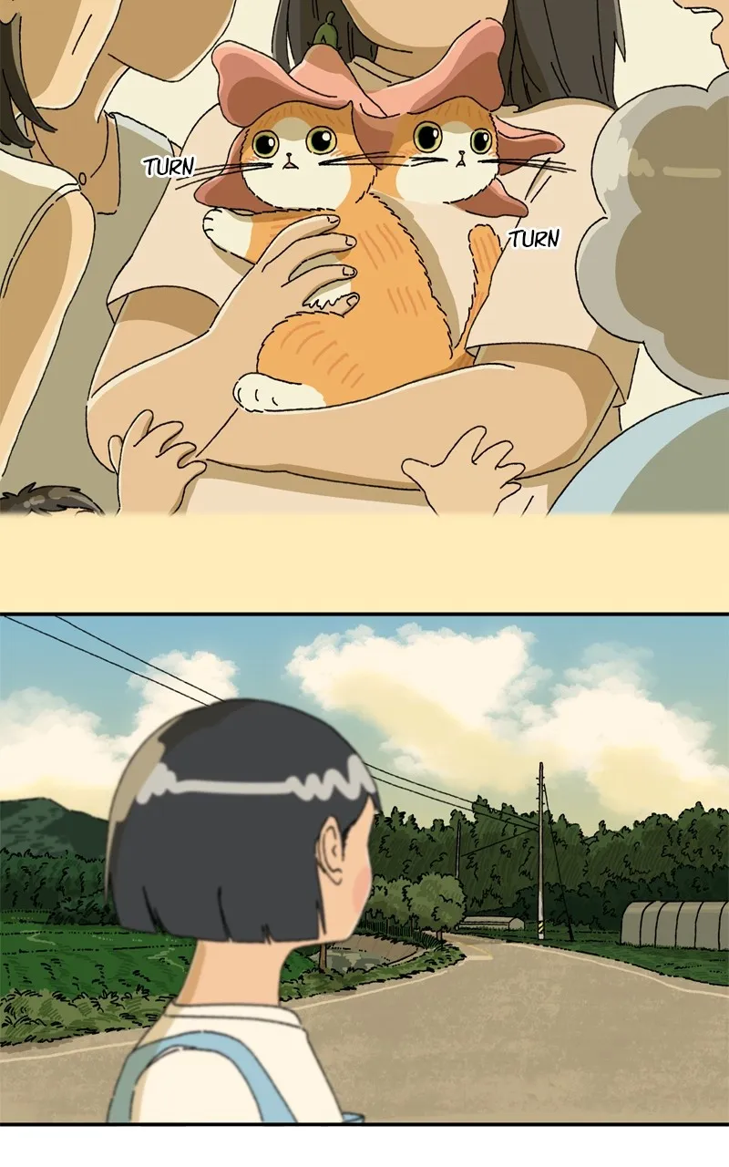 Tata the Cat Chapter 17 page 47 - 