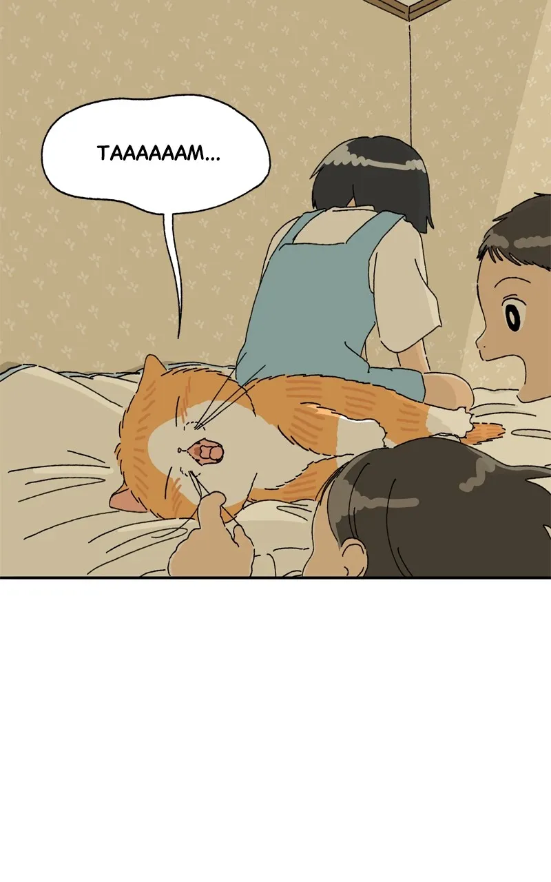 Tata the Cat Chapter 17 page 8 - 