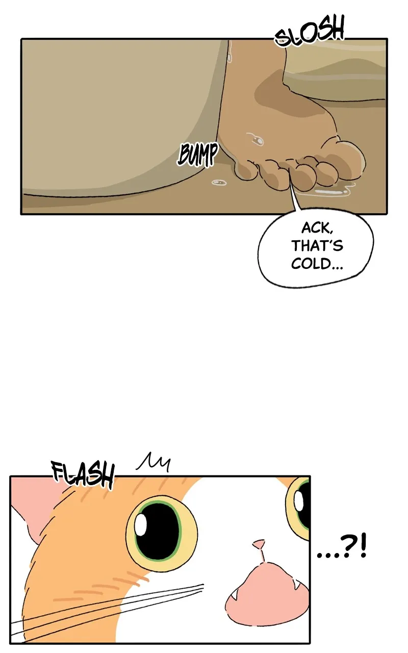 Tata the Cat Chapter 17 page 9 - 