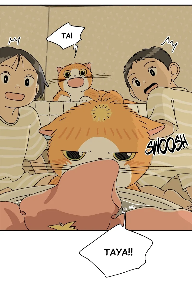 Tata the Cat Chapter 17 page 10 - 