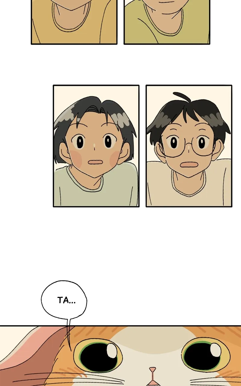 Tata the Cat Chapter 18 page 15 - 