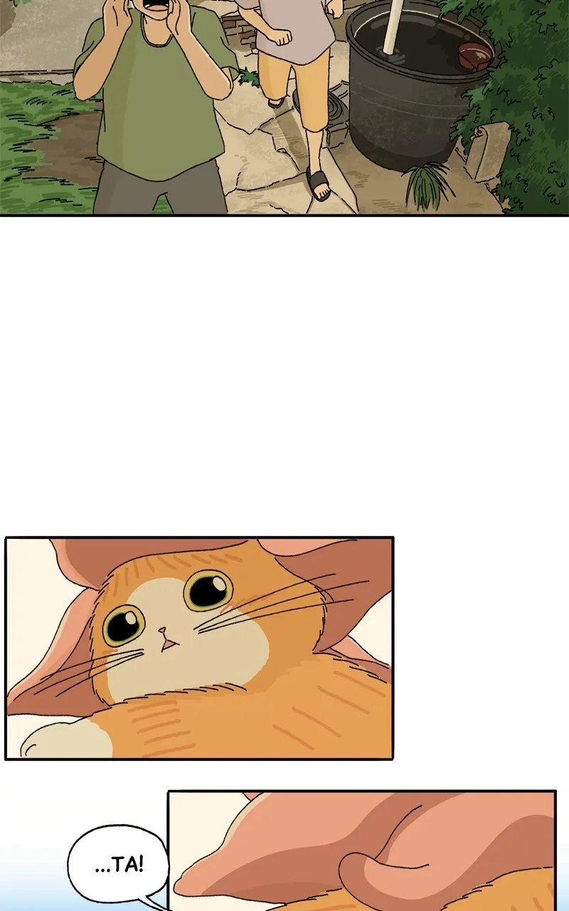 Tata the Cat Chapter 18 page 19 - 