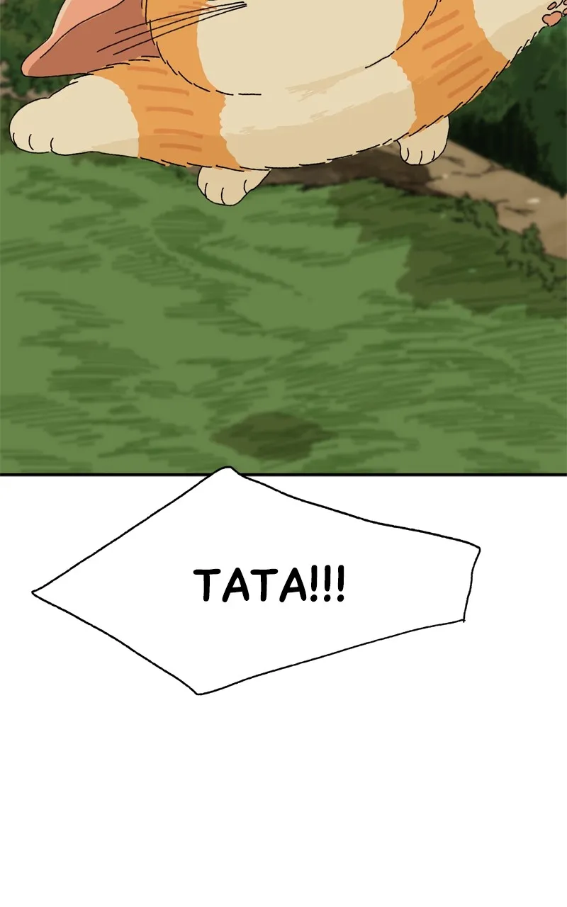 Tata the Cat Chapter 18 page 21 - 