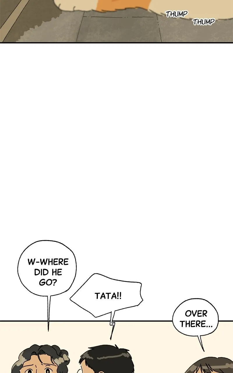 Tata the Cat Chapter 18 page 29 - 