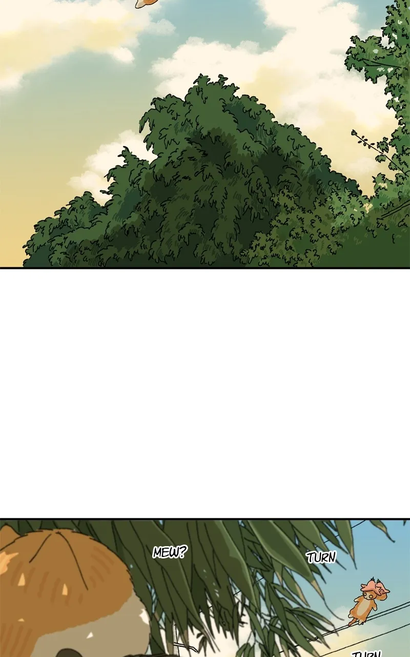 Tata the Cat Chapter 18 page 36 - 