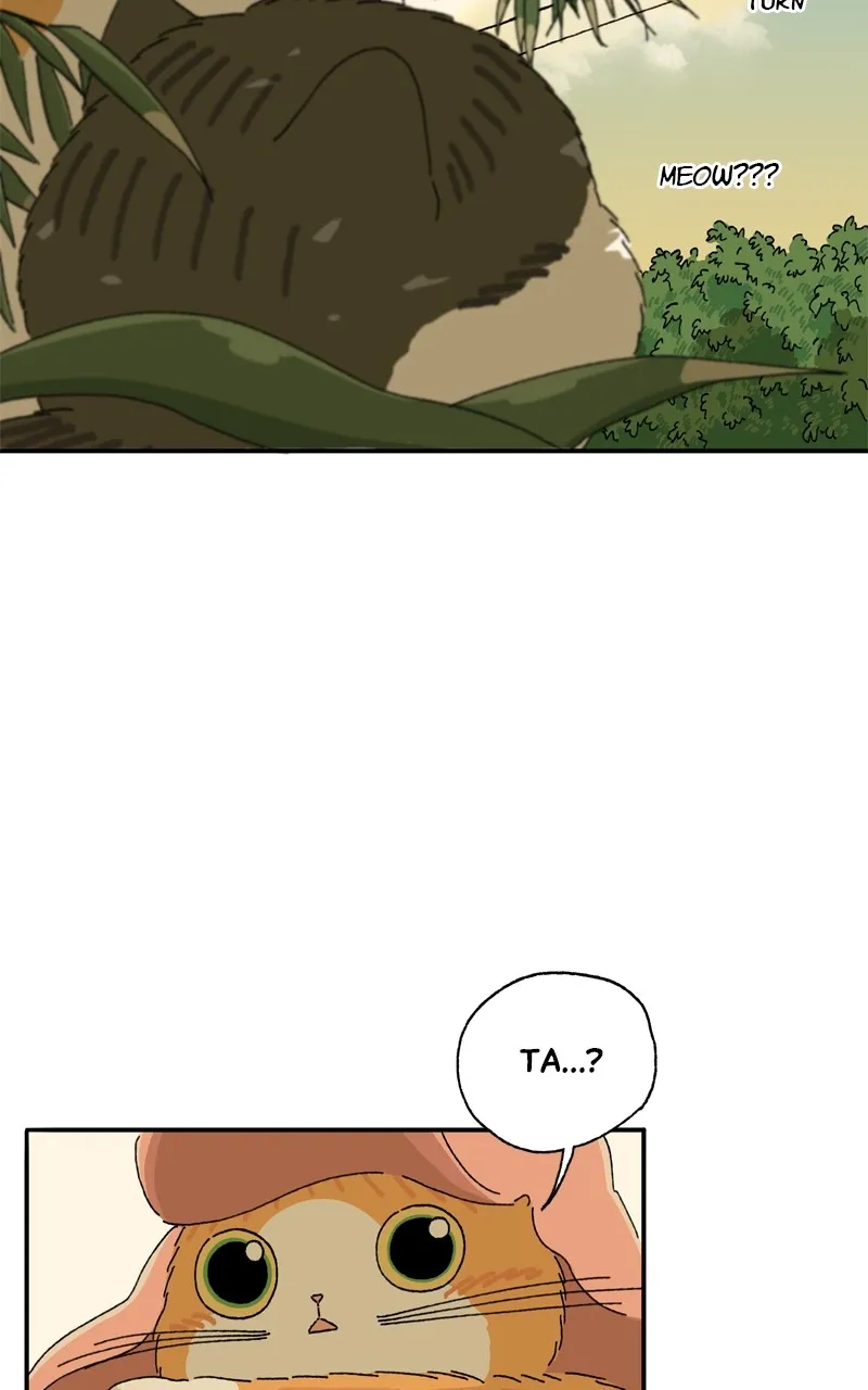 Tata the Cat Chapter 18 page 37 - 