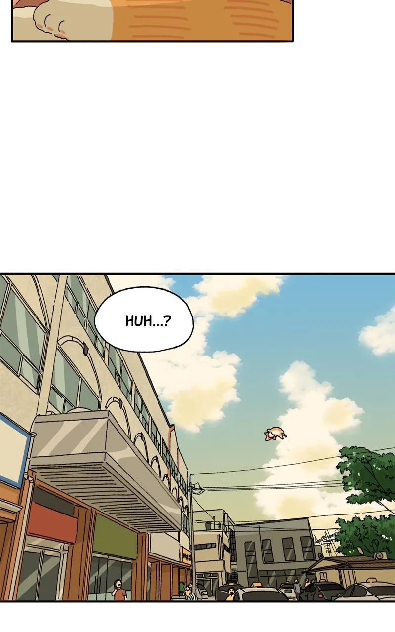 Tata the Cat Chapter 18 page 38 - 