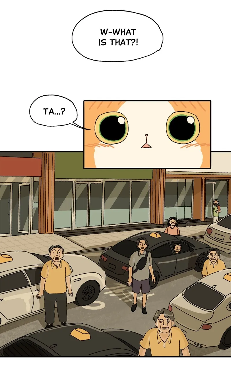 Tata the Cat Chapter 18 page 39 - 