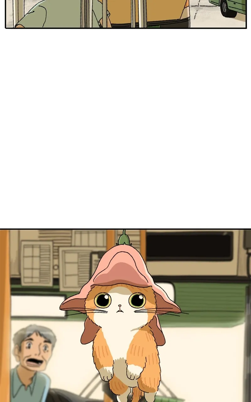 Tata the Cat Chapter 18 page 46 - 
