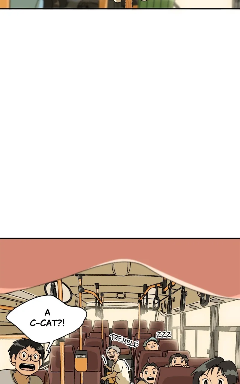 Tata the Cat Chapter 18 page 47 - 